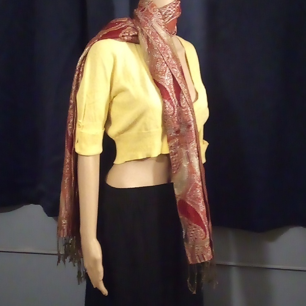 Gorgeous Pashmina Wrap/scarf - Picture 2 of 8